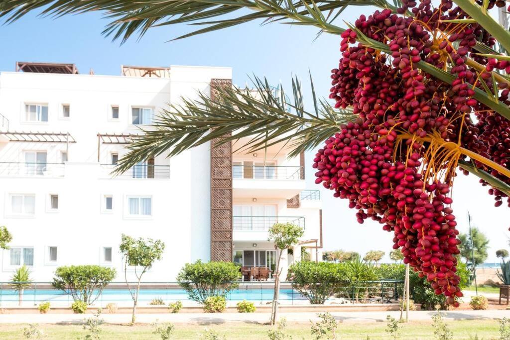 Private Beach Resort Cyprus Vokolidha Eksteriør bilde